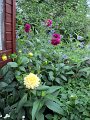 IMG_1082, (2)